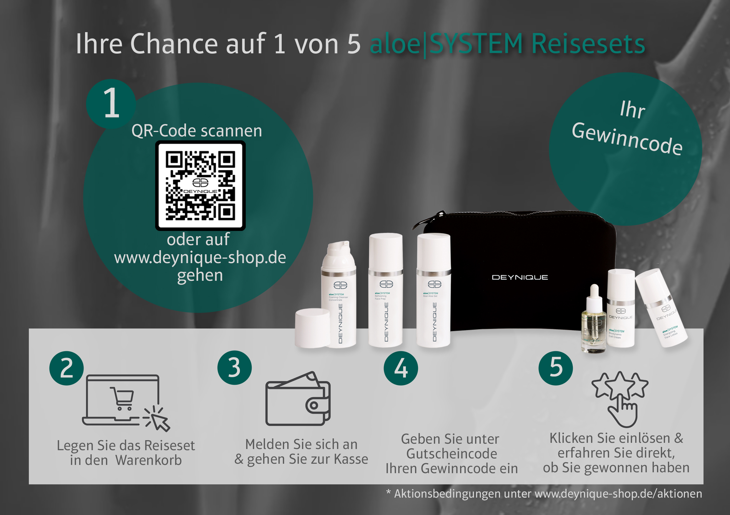 Test-FLYER-BW24_Rueckseite_neu